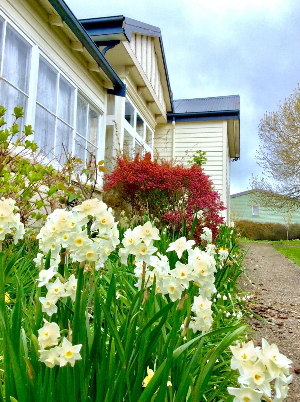Acacia Bed And Breakfast 셰필드 외부 사진
